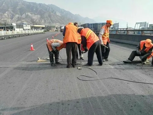 白水道路桥梁病害治理